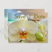 Orchidee ・ Save the Date Postkarte (Vorne/Hinten)
