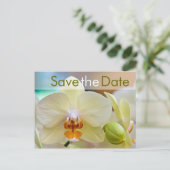 Orchidee ・ Save the Date Postkarte (Stehend Vorderseite)