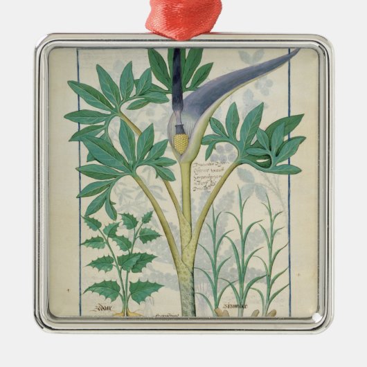 Orchidee Silbernes Ornament (Vorne)