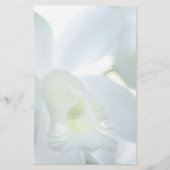 Orchidee stationär briefpapier (Vorderseite)