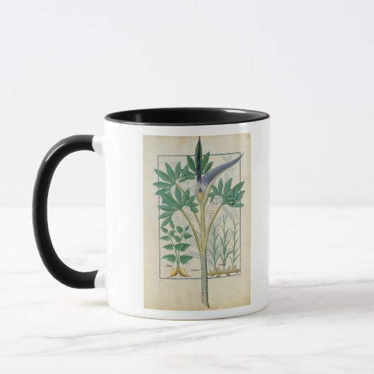Orchidee Tasse (Links)