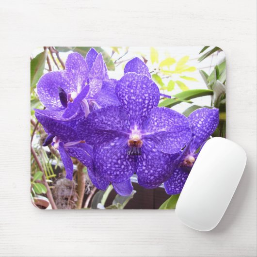 Orchidee Vandas Pachara Mousepad (Mit Mouse)