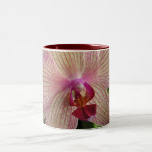 Orchidee Zweifarbige Tasse