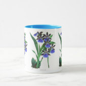 Orchidee Zygopetalum Clayll Tasse (Zentrum)