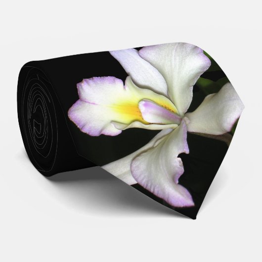 Orchideechic-Hochzeits-Krawatte Krawatte (Gerollt)