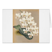 Orchideen (Vorderseite (Horizontal))