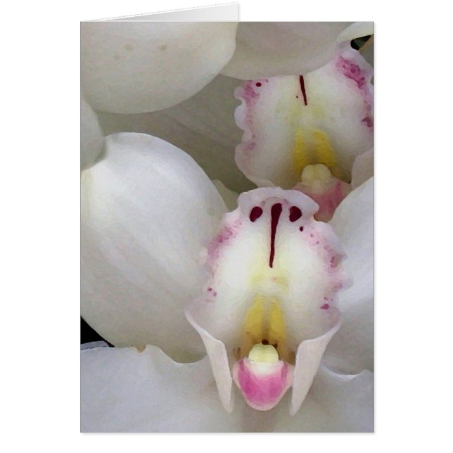Orchideen… (Vorne)