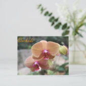 Orchideen # 10 postkarte (Stehend Vorderseite)