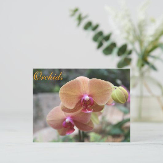 Orchideen # 10 postkarte (Stehend Vorderseite)