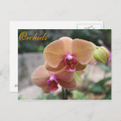 Orchideen # 10 postkarte (Vorne/Hinten)