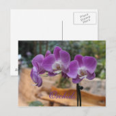 Orchideen # 11 postkarte (Vorne/Hinten)