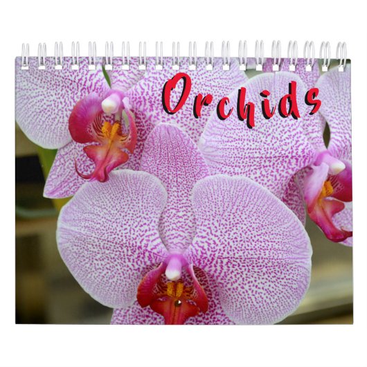 Orchideen-12-monatiger Kalender (Titelbild)