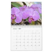 Orchideen-12-monatiger Kalender (Jan 2027)