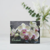 Orchideen # 15 postkarte (Stehend Vorderseite)
