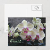 Orchideen # 15 postkarte (Vorne/Hinten)
