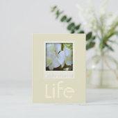 Orchideen 1 Feier der Beerdigung des Lebens Einladung (Stehend Vorderseite)