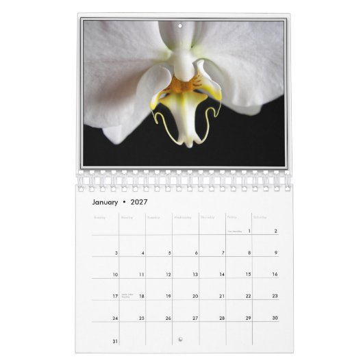 ORCHIDEEN 2011 KALENDER (Jan 2027)