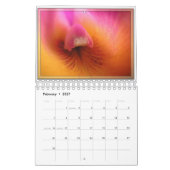 ORCHIDEEN 2011 KALENDER (Feb 2027)