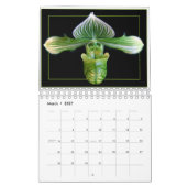 ORCHIDEEN 2011 KALENDER (Mär 2027)