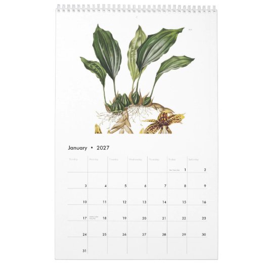 Orchideen 2015 kalender (Jan 2027)