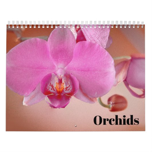 Orchideen 2025 kalender (Titelbild)