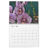 Orchideen 2025 kalender (Mär 2027)