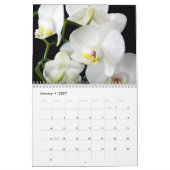 Orchideen 2025 kalender (Jan 2027)