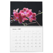 Orchideen 2027 kalender (Jan 2027)