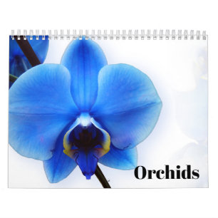 Orchideen 2027 kalender