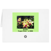 Orchideen 22 (Rückseite Horizontal)