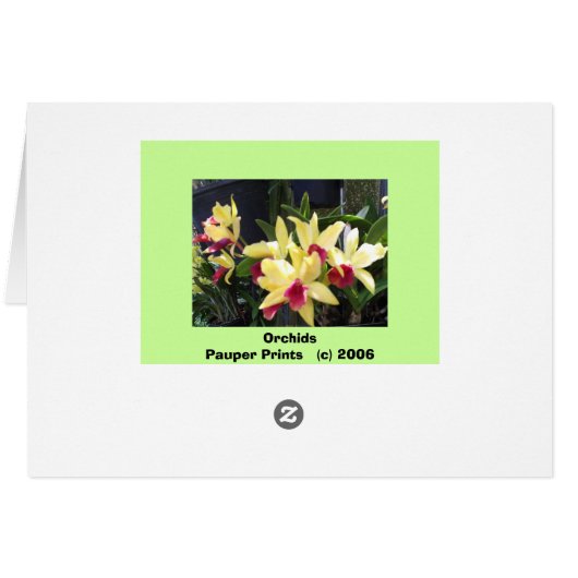 Orchideen 22 (Rückseite Horizontal)
