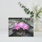 Orchideen # 25 postkarte (Stehend Vorderseite)