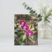 Orchideen # 26 postkarte (Stehend Vorderseite)