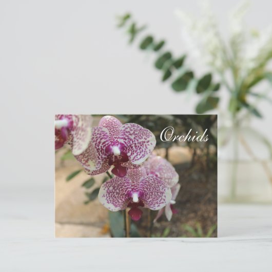 Orchideen # 2 postkarte (Stehend Vorderseite)