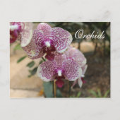 Orchideen # 2 postkarte (Vorderseite)