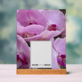 Orchideen Acrylschild (Neutral)