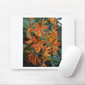 Orchideen an den botanischen Gärten Mousepad (Mit Mouse)