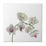 Orchideen-Aquarell-Malerei Fliese<br><div class="desc">Dieses ist eine Watercolormalerei meiner Orchideen-Pflanze. Ich benutzte Daniel-Smith Watercolorfarben auf heißem gepresstem Papier der Bögen.</div>