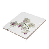 Orchideen-Aquarell-Malerei Fliese (Seite)