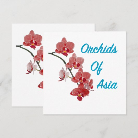 Orchideen Asiens Day Spa (Vorne/Hinten)