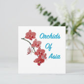 Orchideen Asiens Day Spa (Stehend Vorderseite)