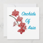Orchideen Asiens Day Spa (Vorderseite)