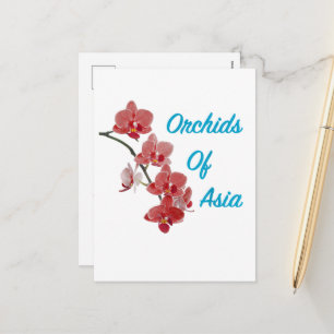 Orchideen Asiens Day Spa Feiertagspostkarte