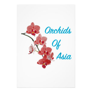 Orchideen Asiens Day Spa Fotodruck