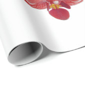 Orchideen Asiens Day Spa Geschenkpapier (Rolleneckpunkt)