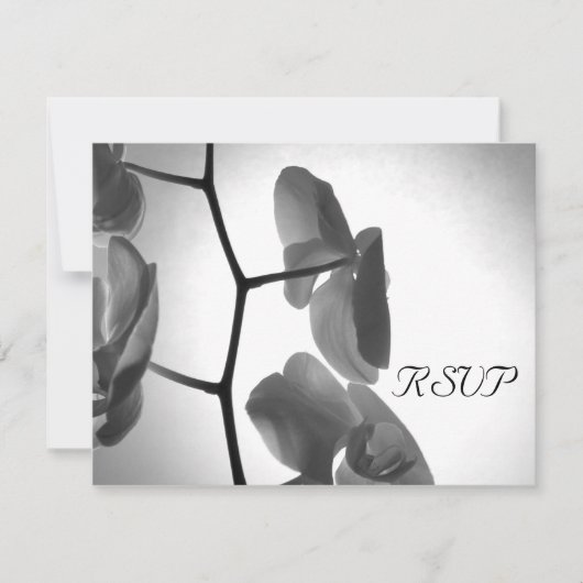 Orchideen auf der RSVP-Reaktionskarte für Stem Wed RSVP Karte (Vorderseite)