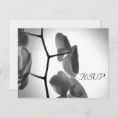 Orchideen auf der RSVP-Reaktionskarte für Stem Wed RSVP Karte (Vorne/Hinten)