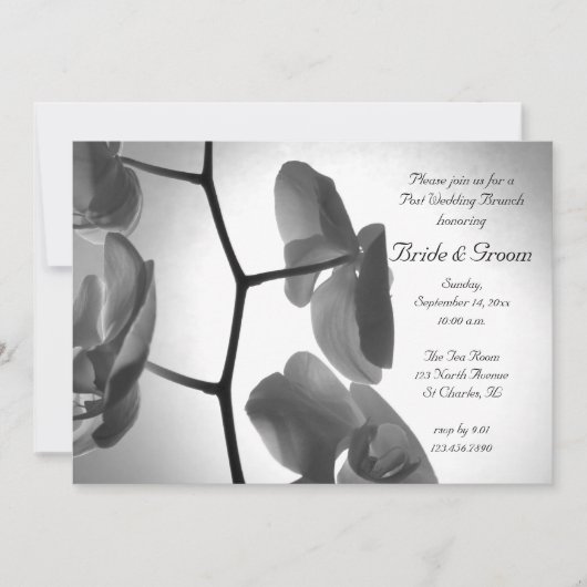 Orchideen auf der Stem Post Wedding Brunch Einladu Einladung (Vorderseite)