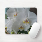Orchideen auf einem Mousepad (Mit Mouse)