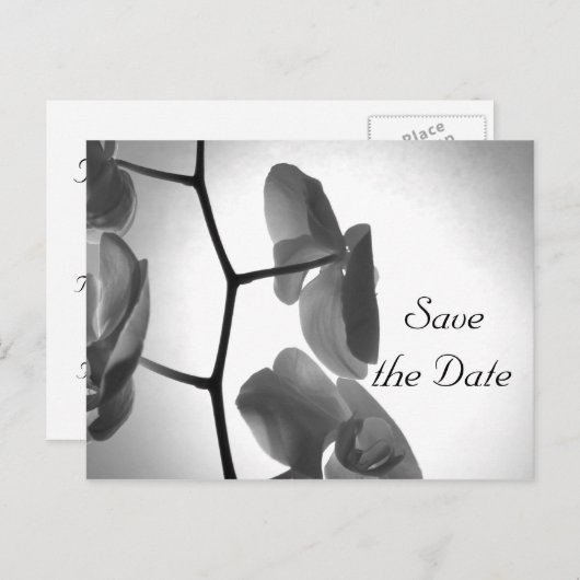 Orchideen auf Stem Wedding Save the Date Ankündigungspostkarte (Vorne/Hinten)